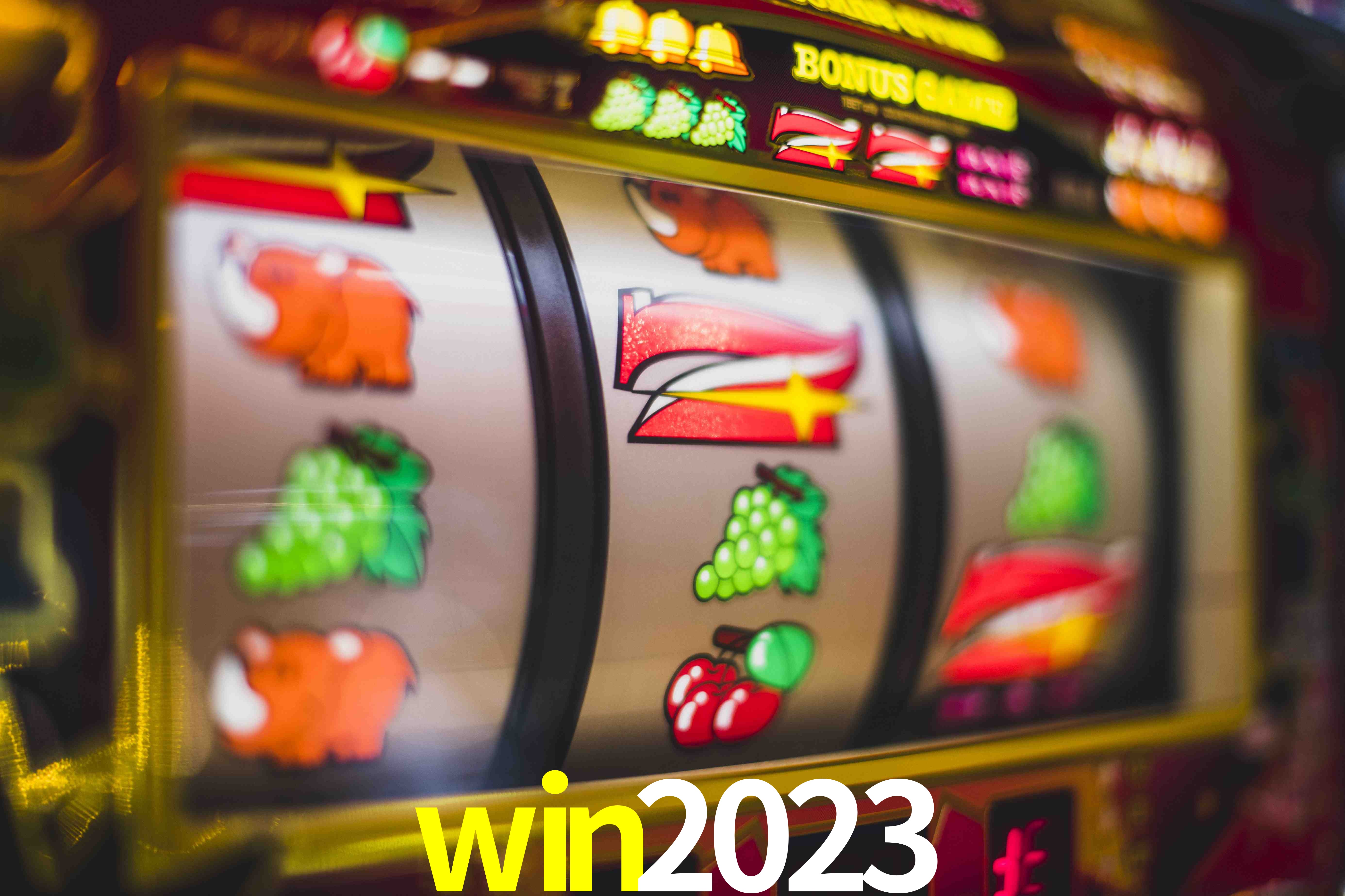 Football Betting win2023